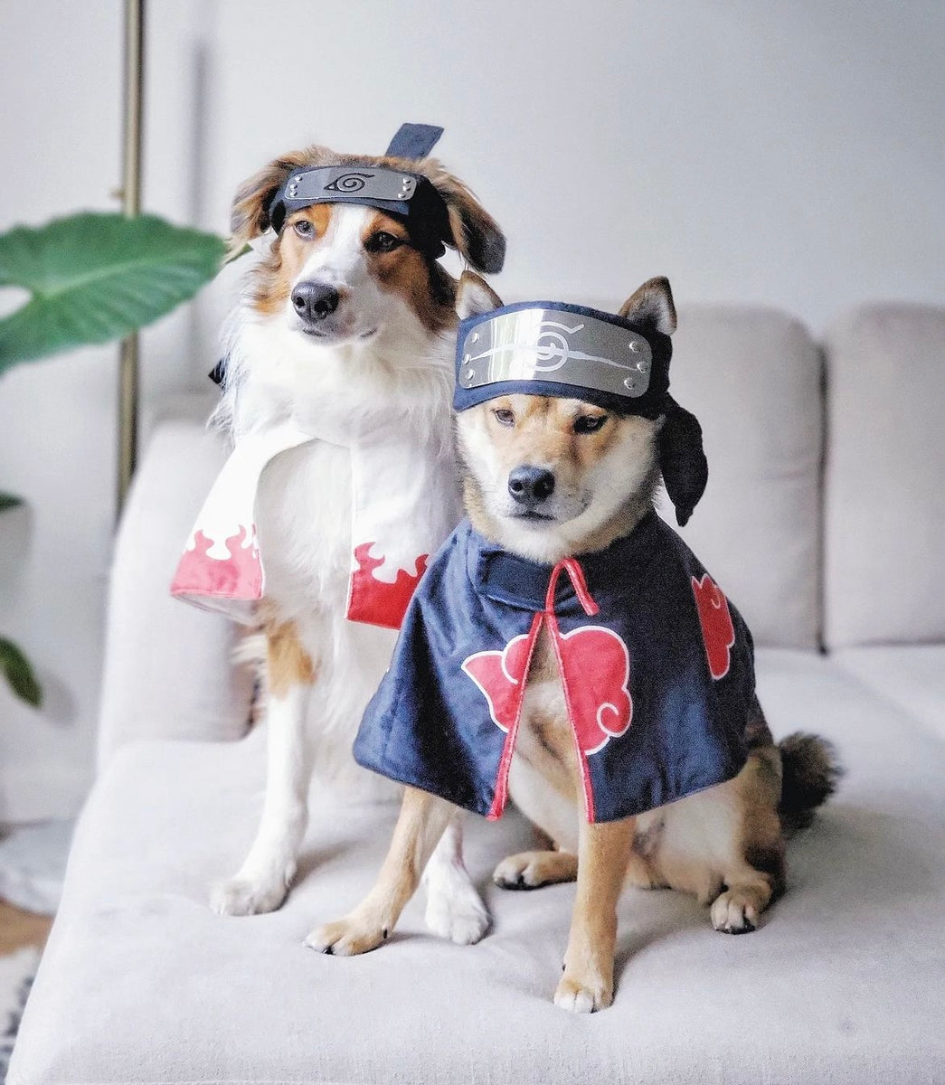Akatsuki Pet Anime Ninja Costume – ChoChoCho Pet
