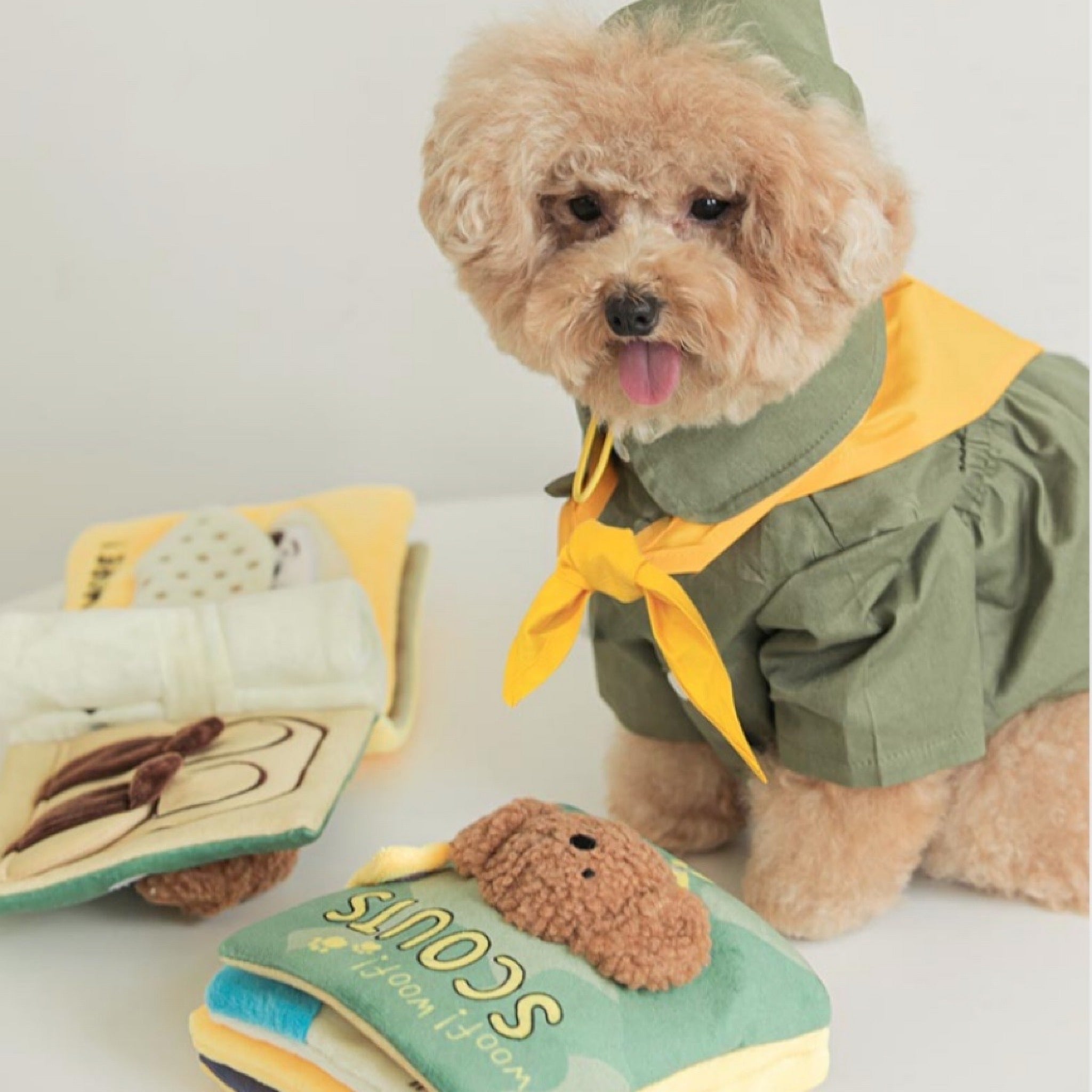 Lunch Book Plush Interactive Dog Toys, Dog Treat Dispenser Toys, Hide –  ChoChoCho Pet
