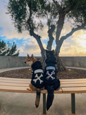 Woof White Cotton Hoodie (Tape Arrows)