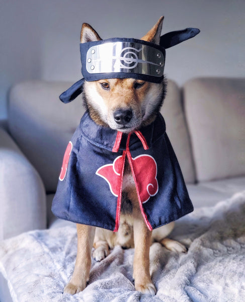 Akatsuki Pet Anime Ninja Costume ChoChoCho Pet